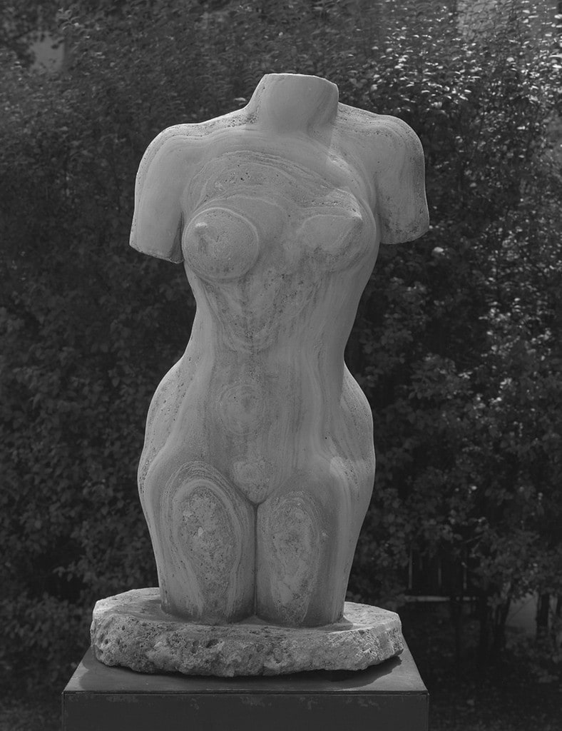 Torso