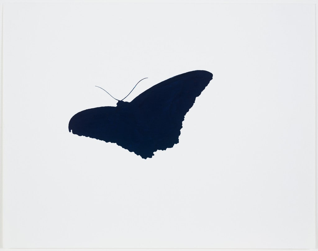 Untitled (Butterfly Prussian Blue)