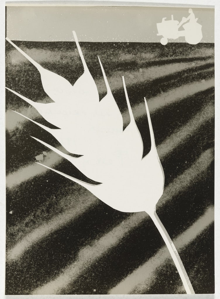 Illustration (photogram) for children's book God za godom (Year by Year)