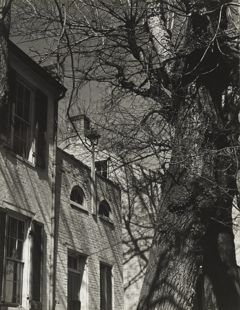 Brick house and tree
