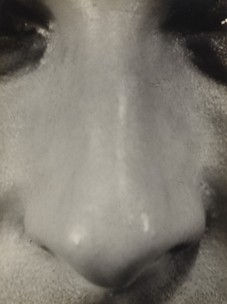 Nose