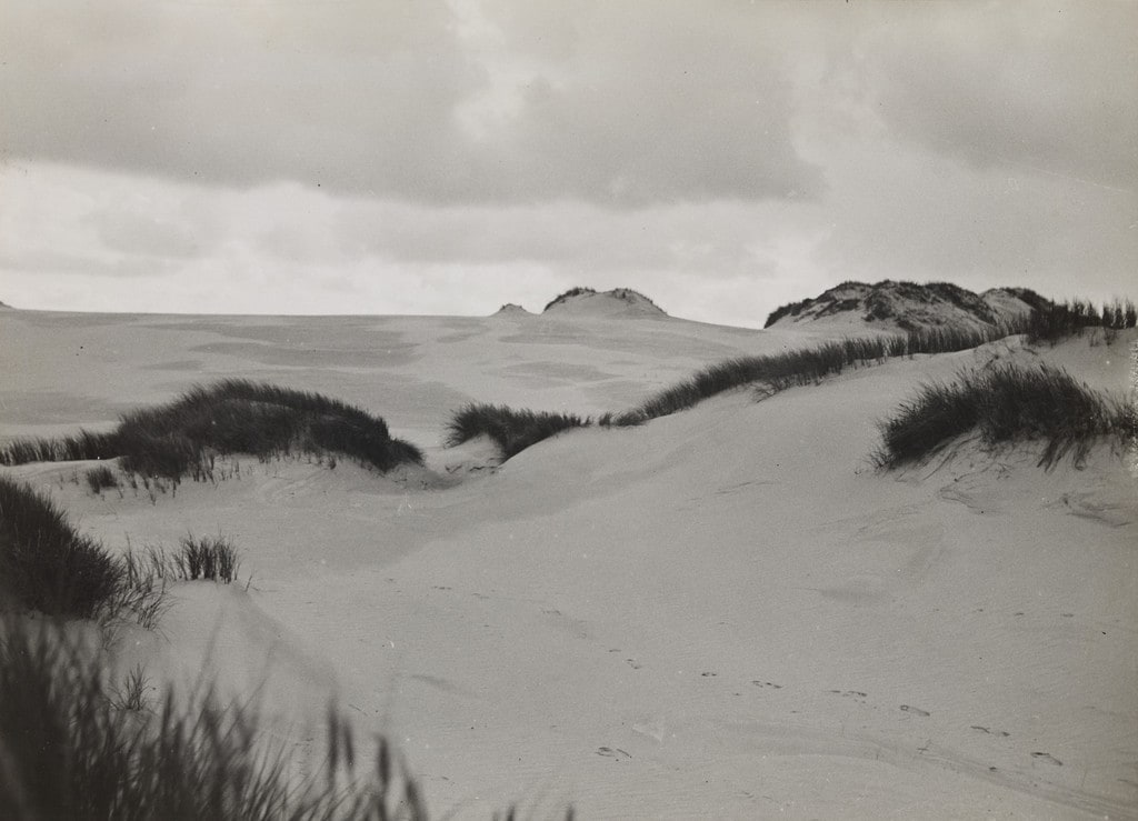 Dune in Salesk
