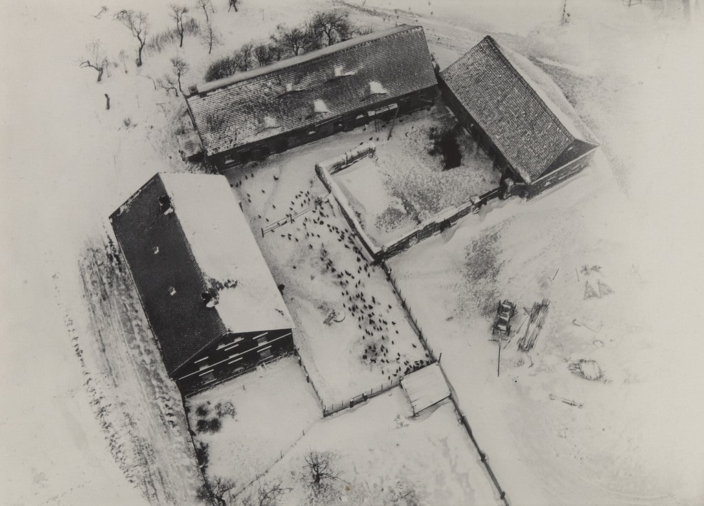 Chicken Farm in Snow