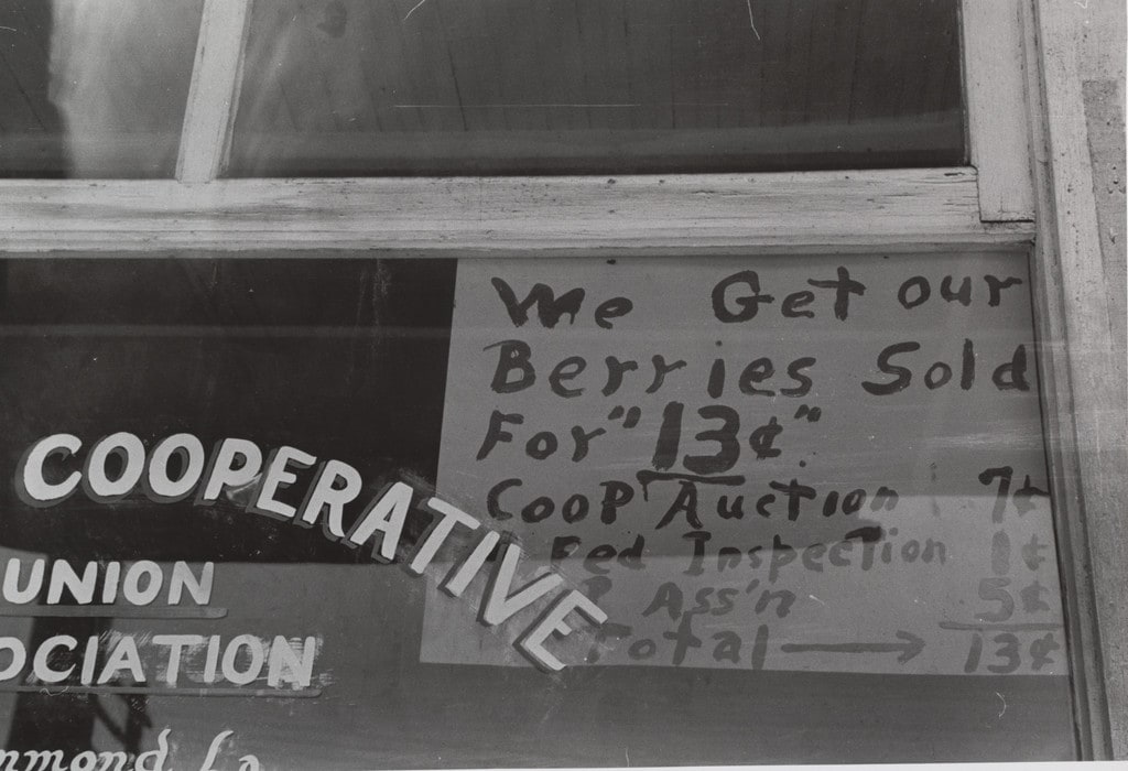 Sign Showing Commission for Handling Strawberries, Hammond, Louisiana