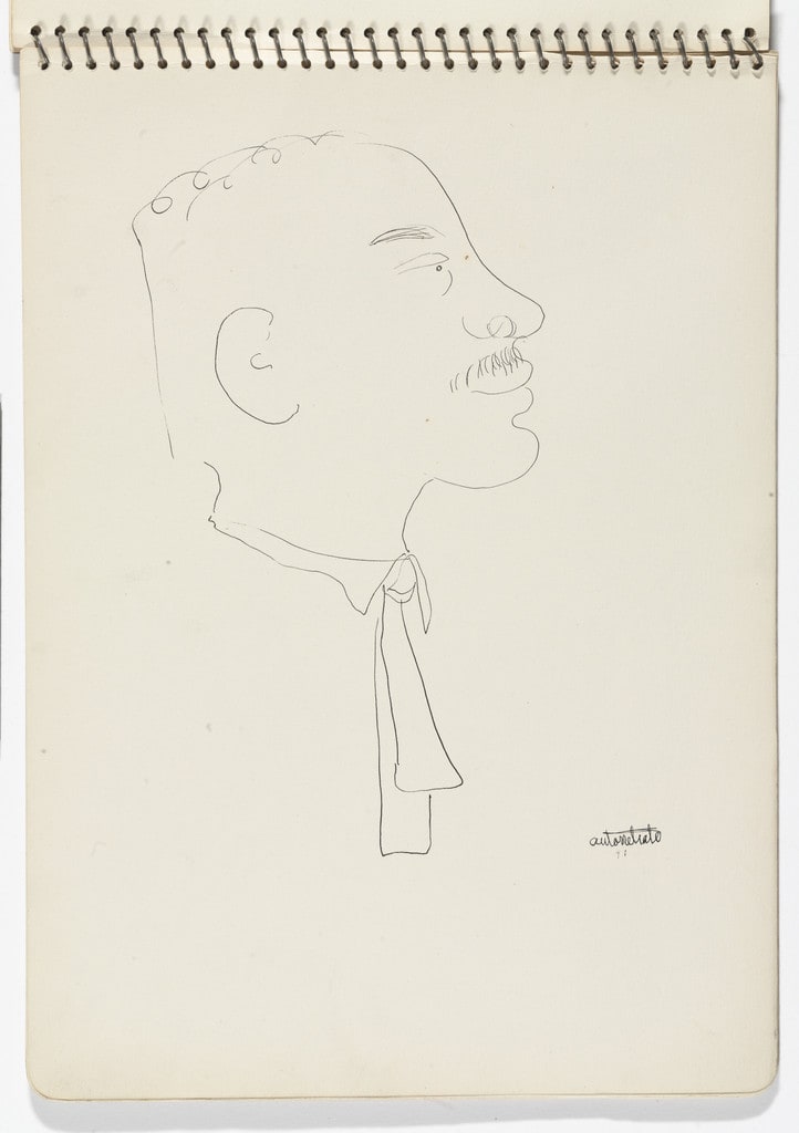 Self-Portrait