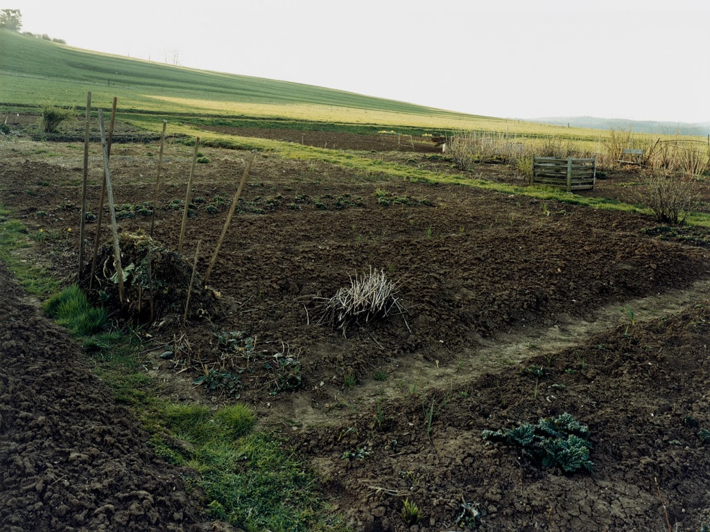 Field, Härtsfeld/Schwäbische Alb