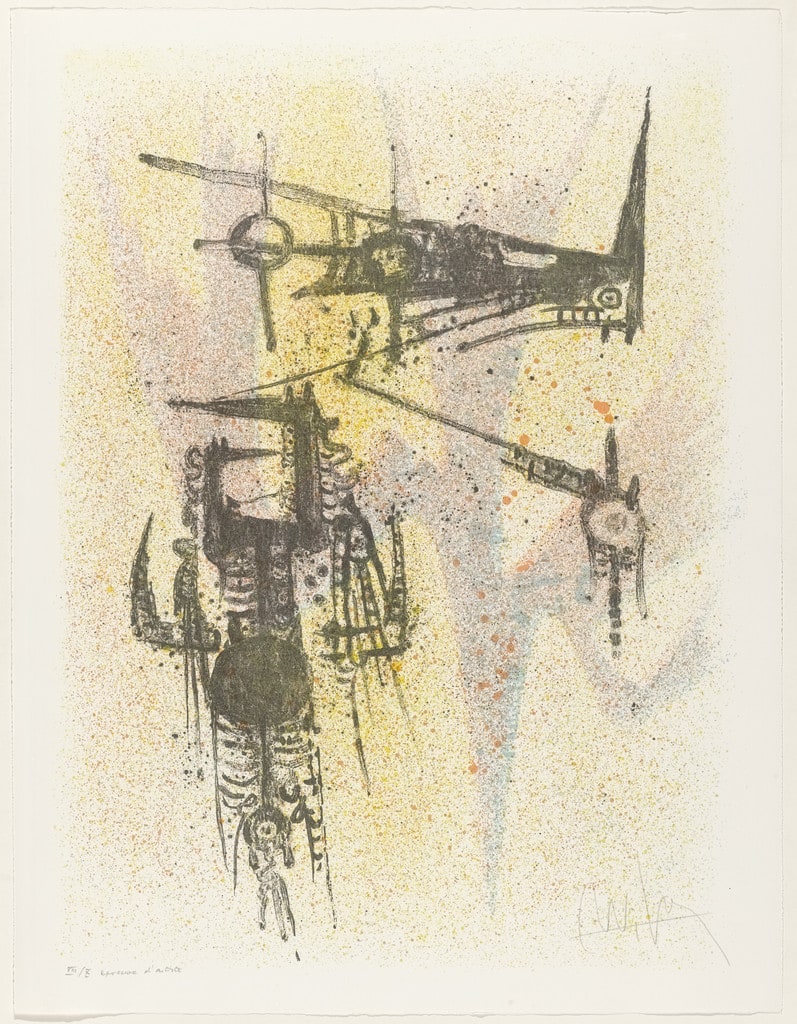 Untitled from Flight