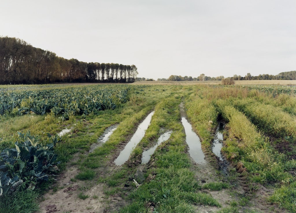 Path with Puddles, Meerbusch-Büderich