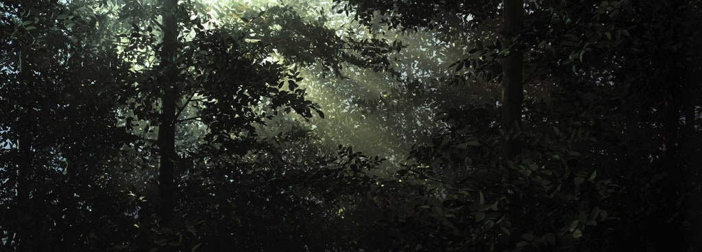 Clearing
