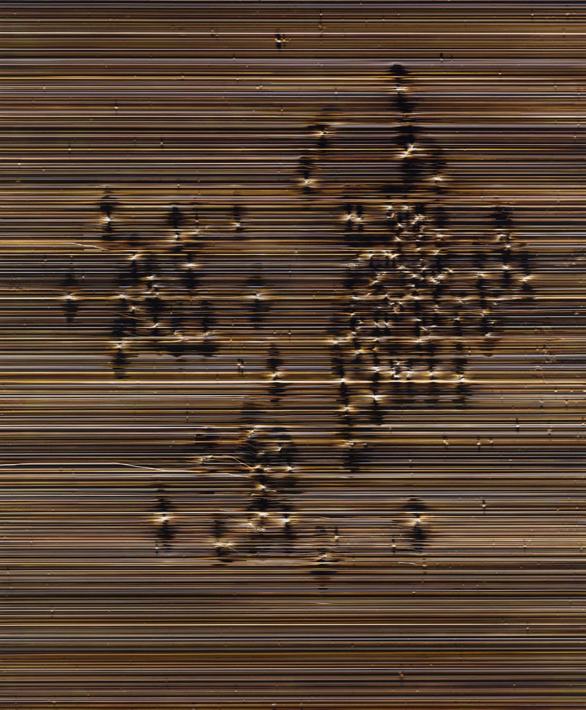 Pan (C-337)