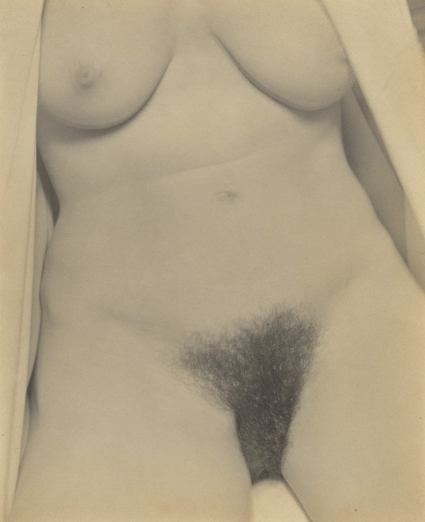 Georgia O'Keeffe--Torso