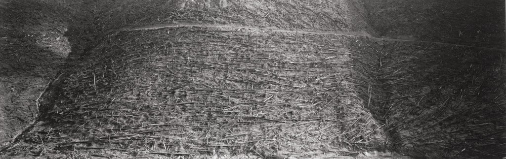 Valley of Hoffstadt Creek--trees downed by blast. Eleven miles northwest of Mount St. Helens, Valley of Hoffstadt Creek--timber salvage completed. Eleven miles northwest of Mount St. Helens, Regrowth at Hoffstadt Creek. Eleven miles northwest of Mount St. Helens