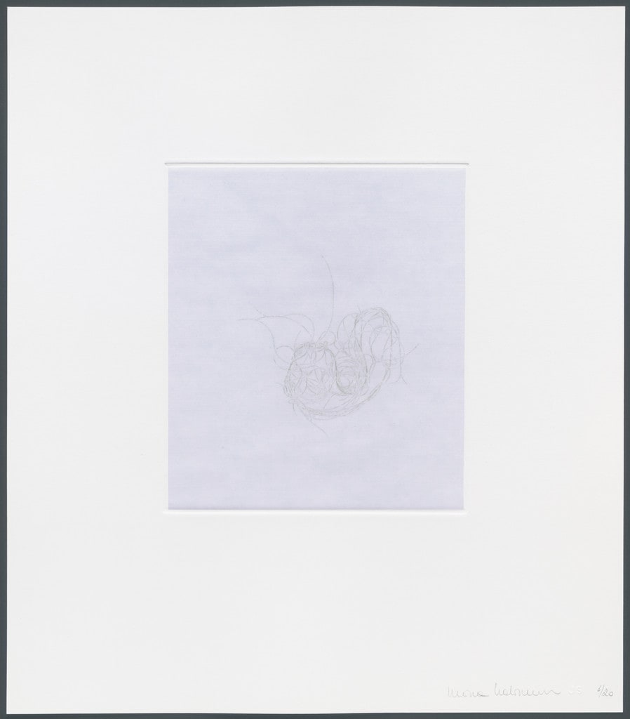 Untitled from hair there and everywhere