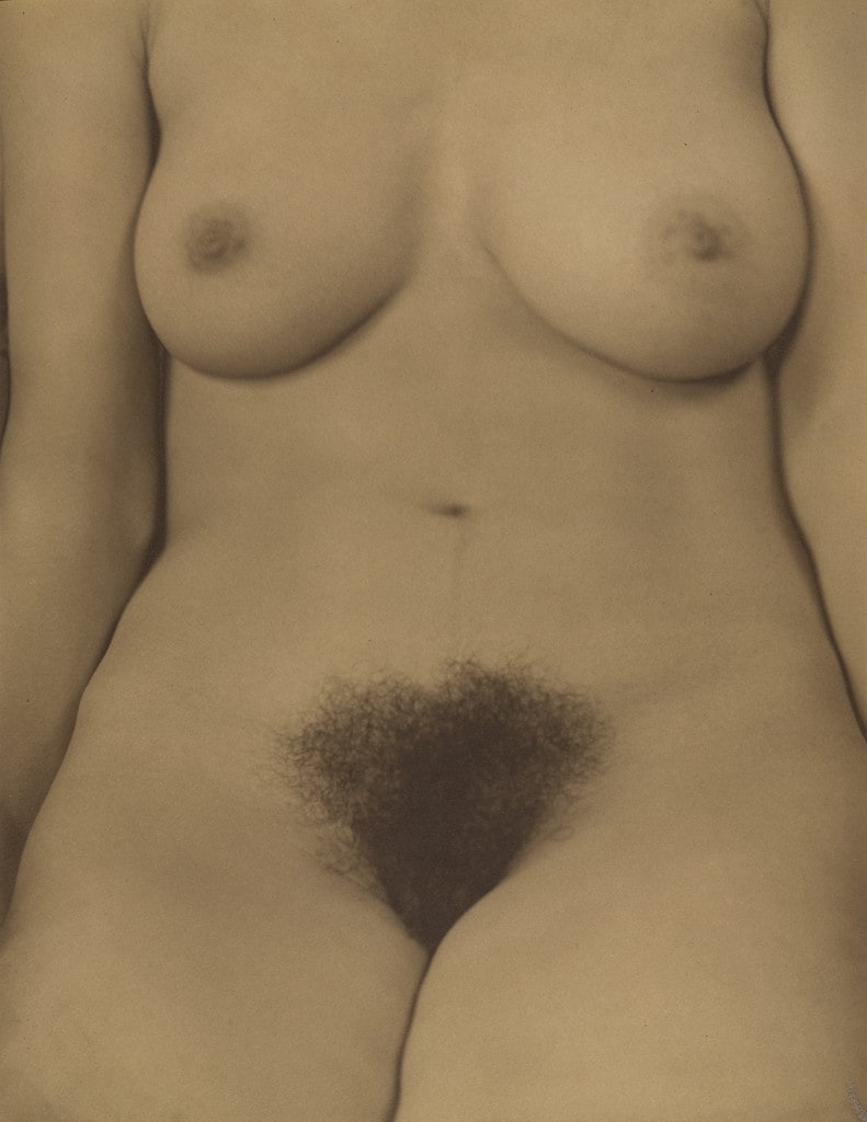 Georgia O'Keeffe--Torso