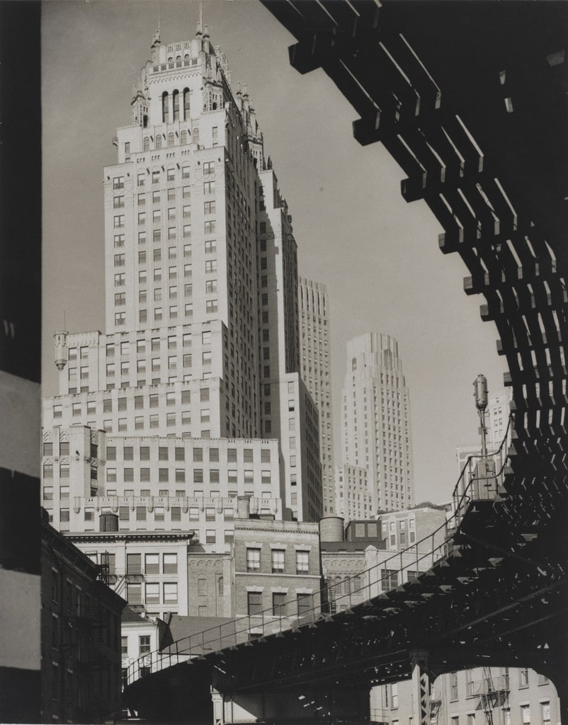 Metropolis