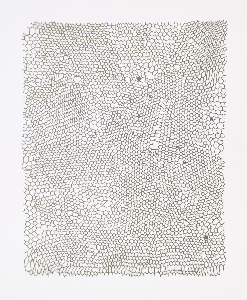Untitled (Nets)