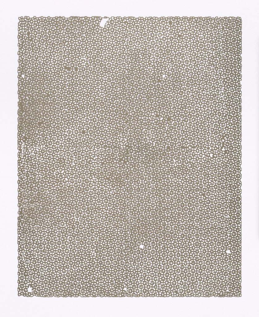 Untitled (Nets)