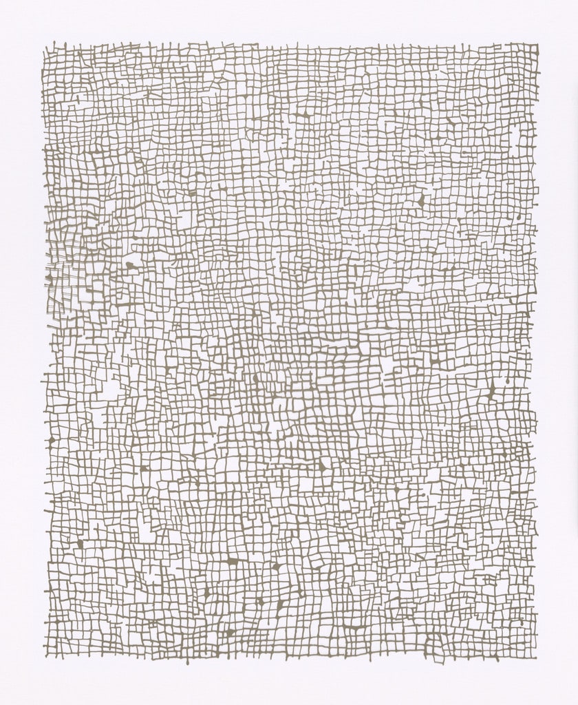 Untitled (Nets)