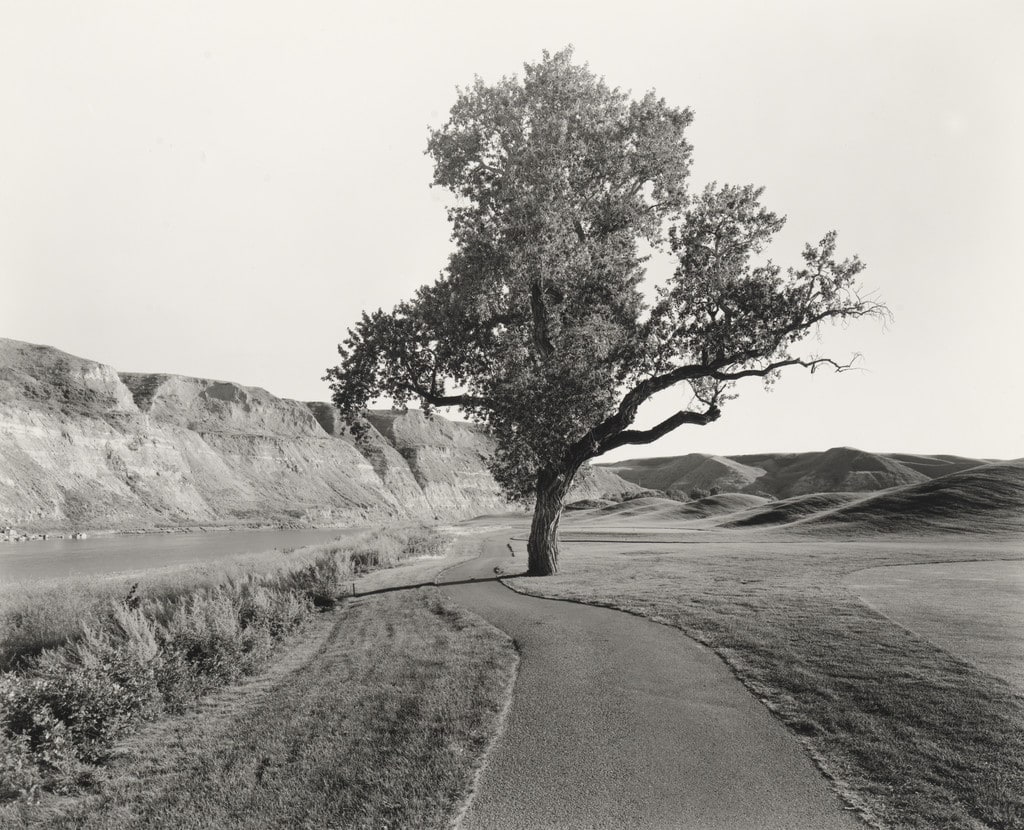 Paradise Canyon