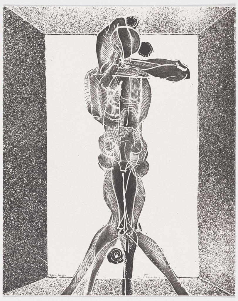 Untitled XIV from A Family of Acrobatic Jugglers