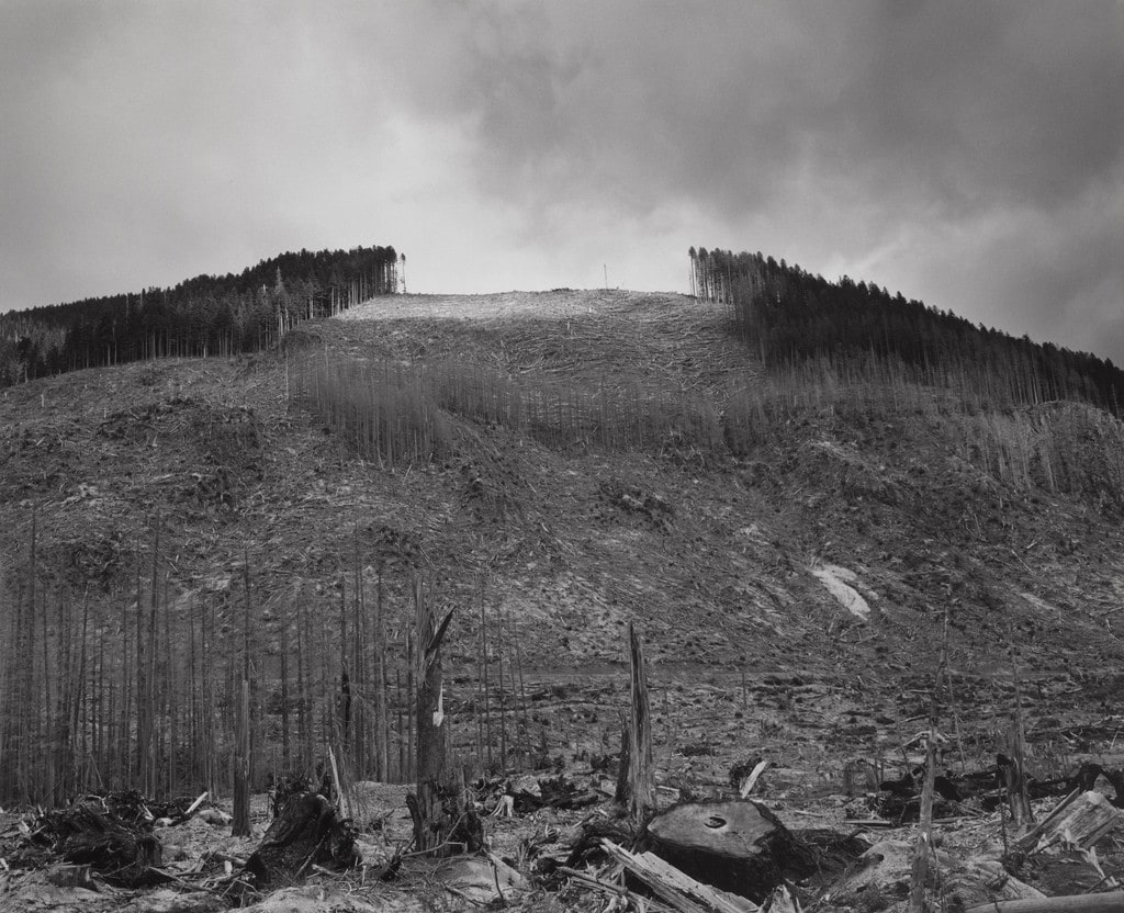 Timber salvage on ridge at eastern limit of blast zone. Clearwater Creek Valley, ten miles northeast of Mount St. Helens
