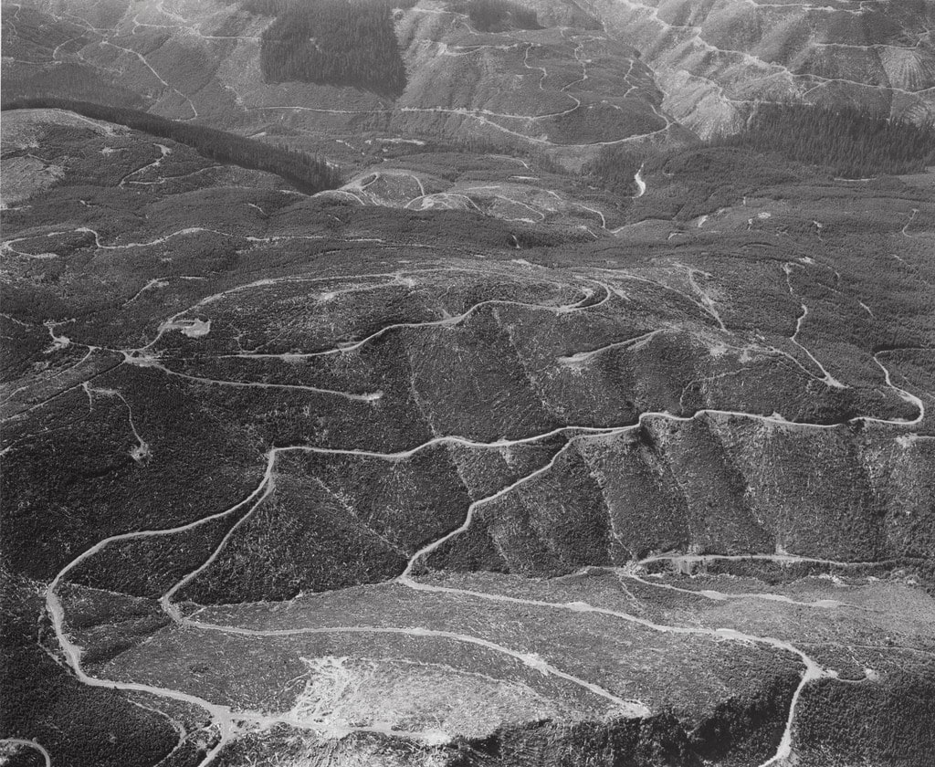 Aerial view: clear-cuts and logging roads. Vicinity of Mount St. Helens