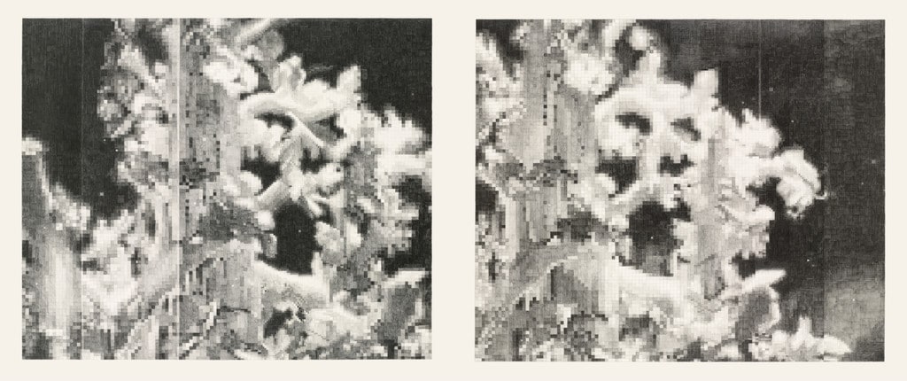 Parnassus