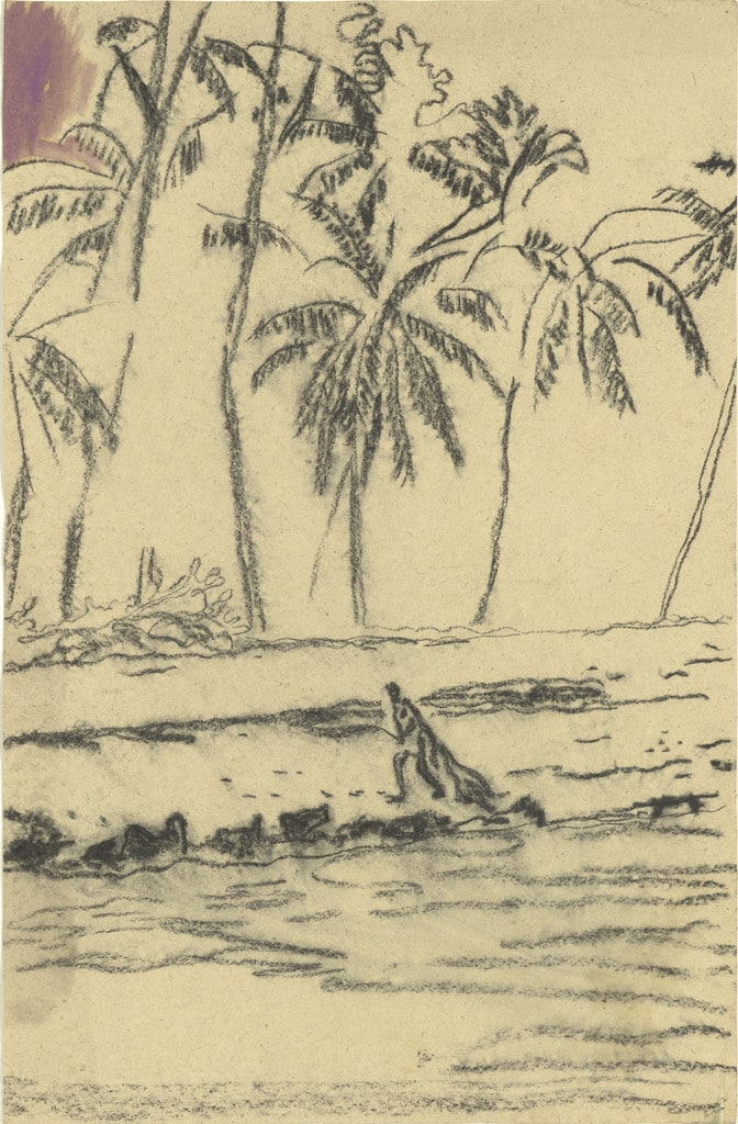 Pelican