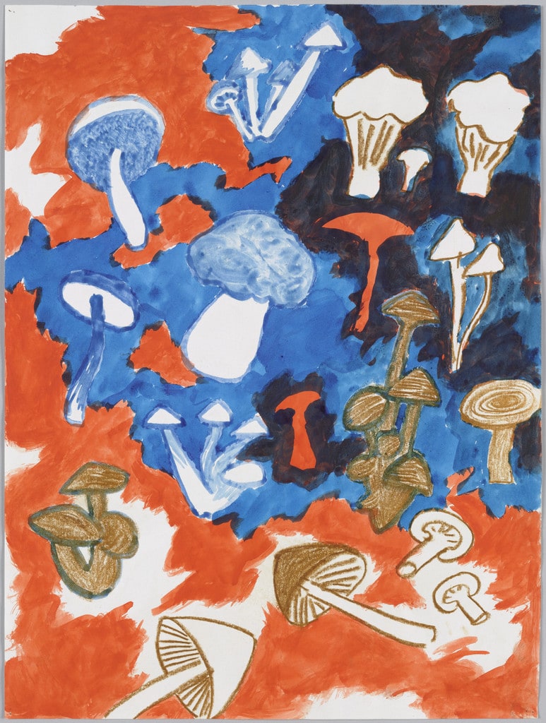 Untitled (mushrooms)
