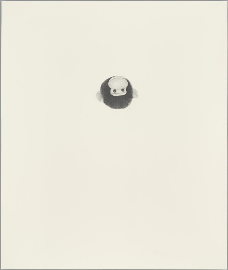 Inverted, Floating Monkey Head