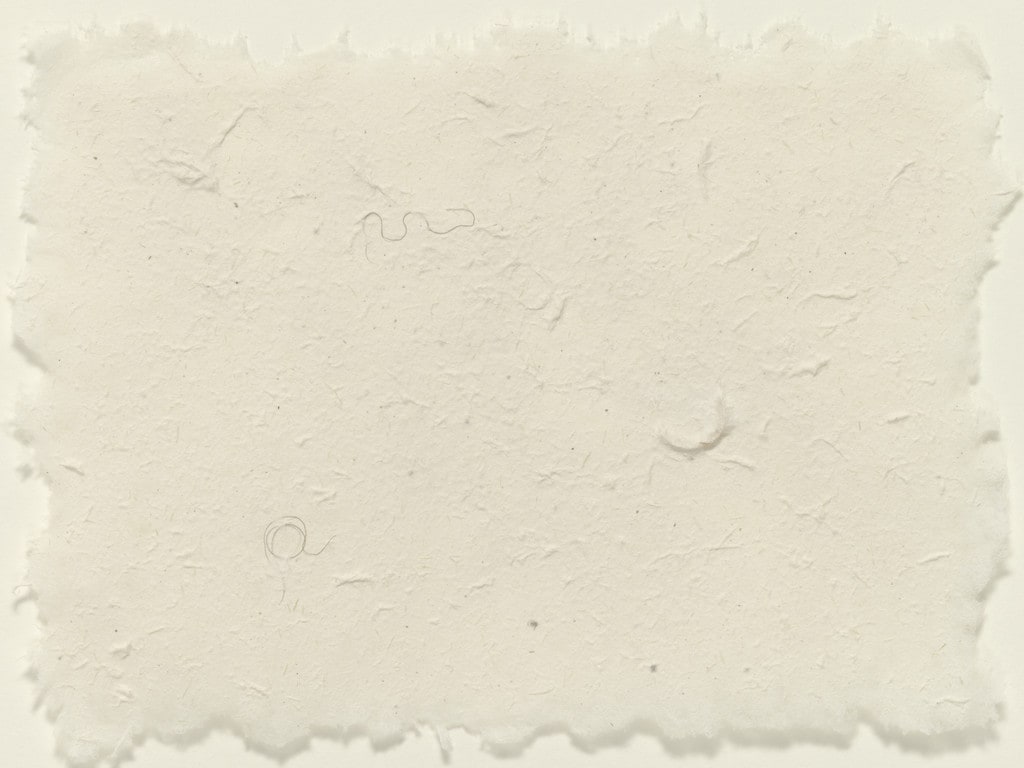 Hair Drawing
