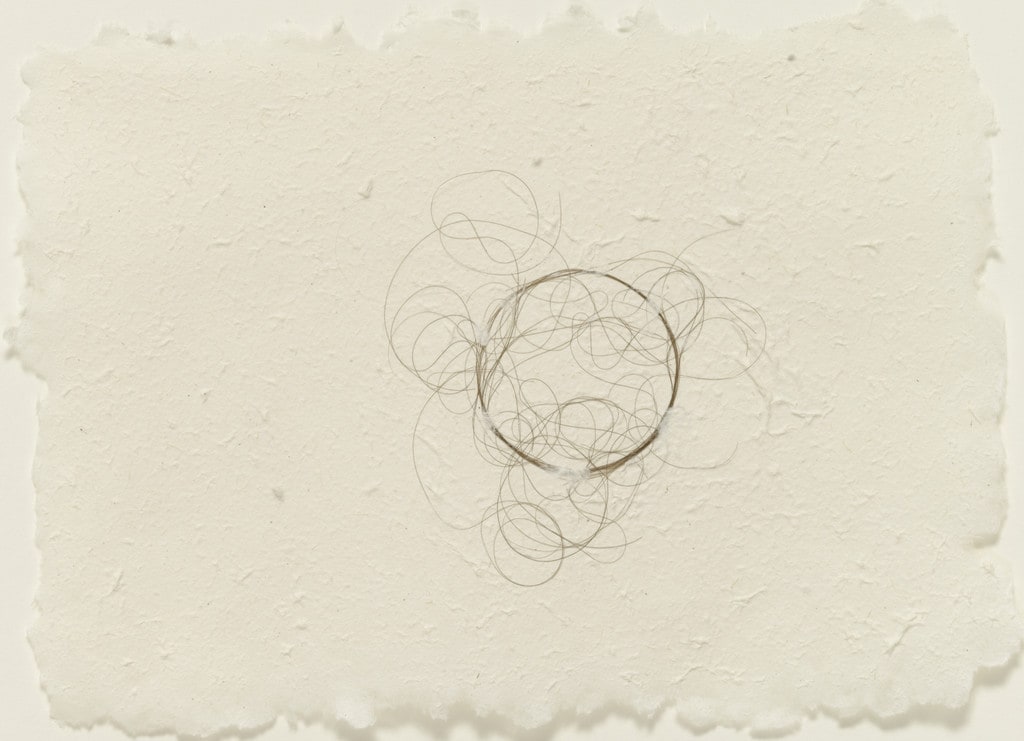 Hair Drawing