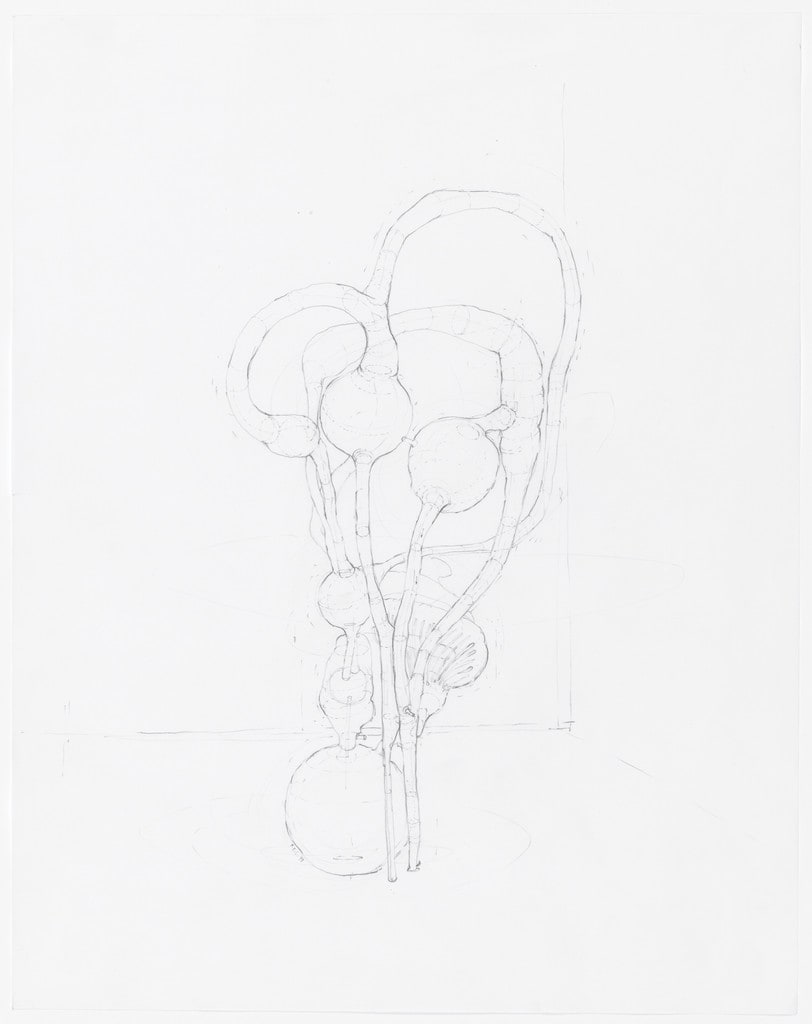 Membranous Labyrinth Gland Study II, III, IV