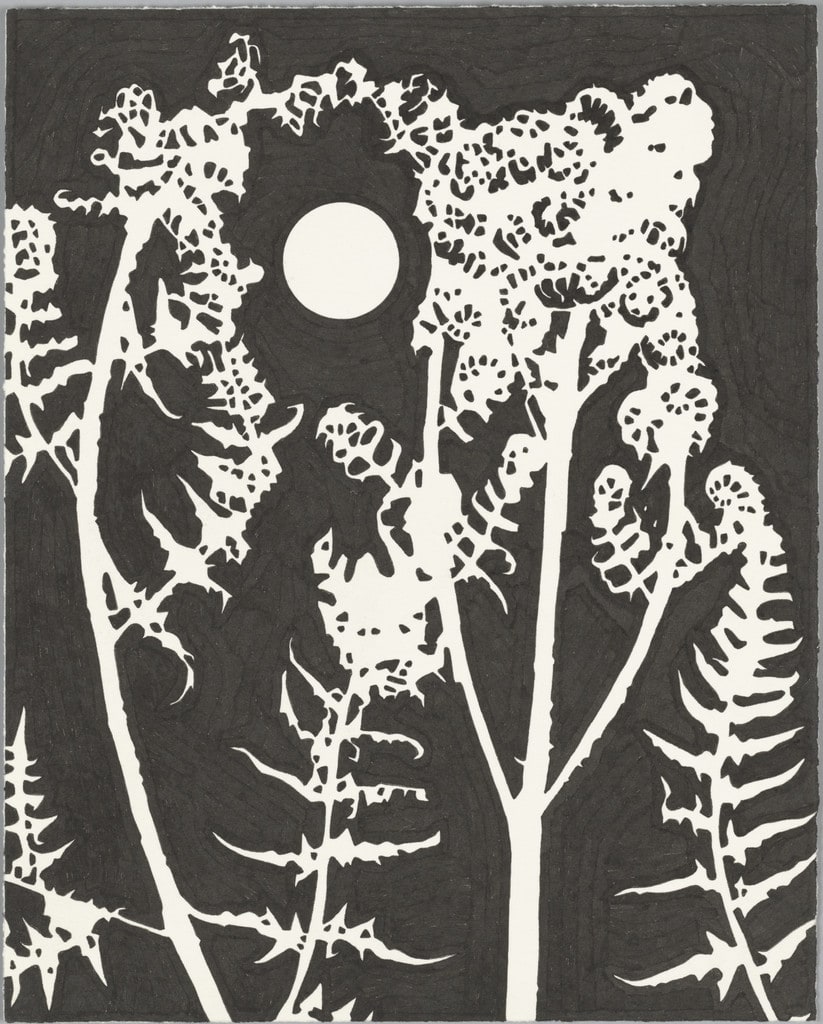 Bracken
