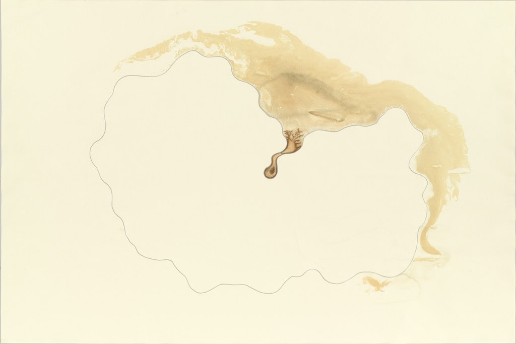 My Body and the Dry Well