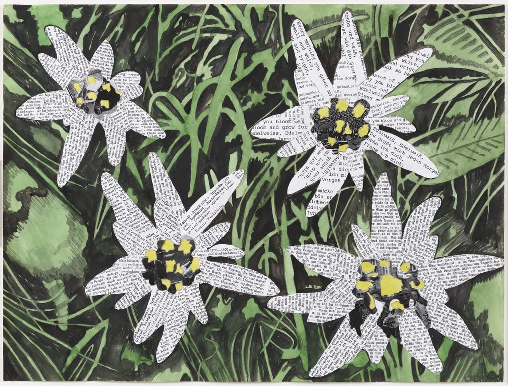 Edelweisspiraten (Edelweiss Pirates)