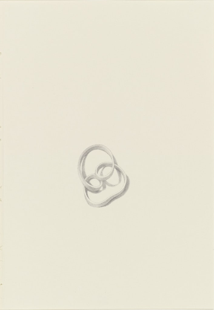 Untitled from the series 'Ten Thousand Things That Breathe'