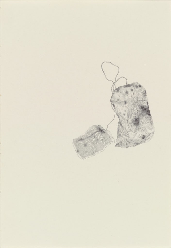 Untitled from the series 'Ten Thousand Things That Breathe'
