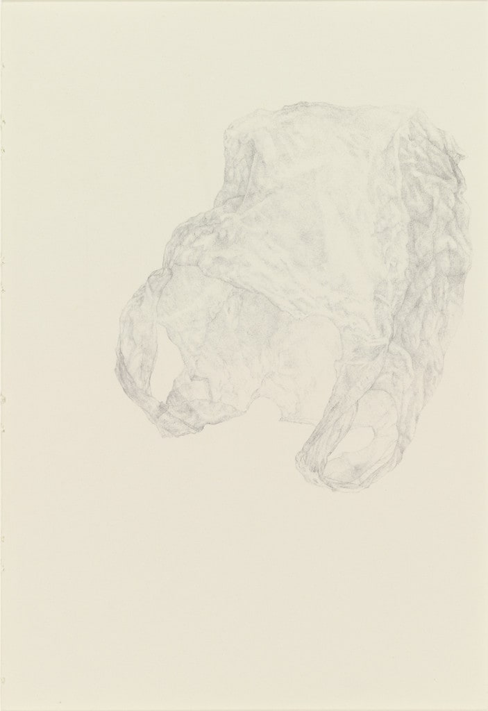 Untitled from the series 'Ten Thousand Things That Breathe'