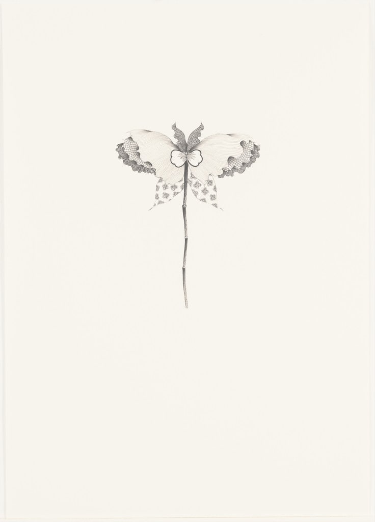 Untitled (Butterfly Flower #27)