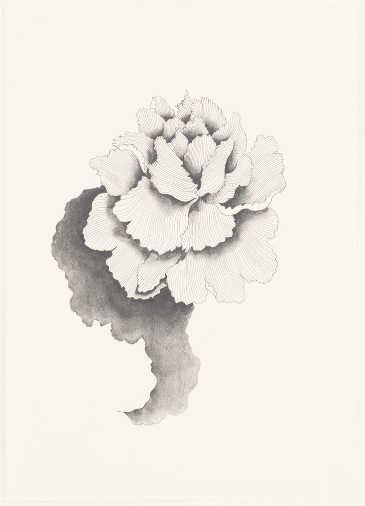 Untitled (Flower #18)