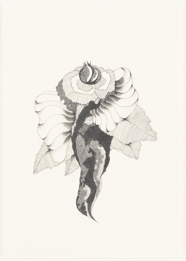 Untitled (Flower #20)