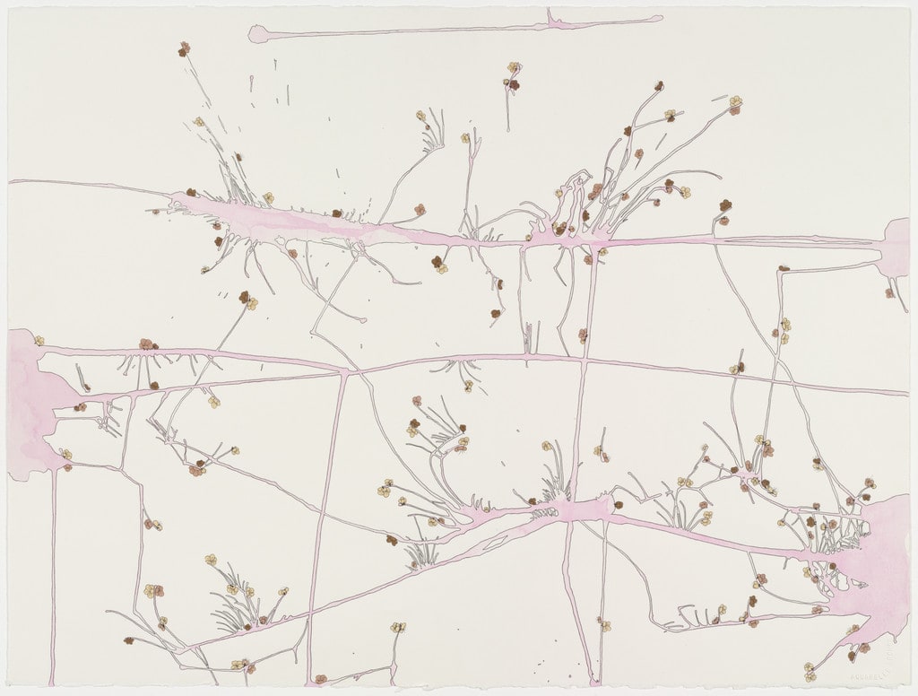 Untitled #14