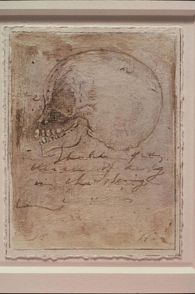 Untitled (skull)