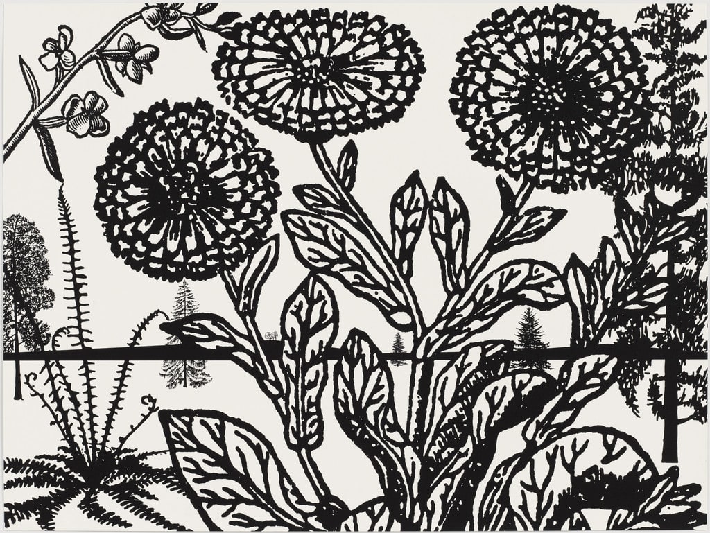 Untitled from Black Dahlias