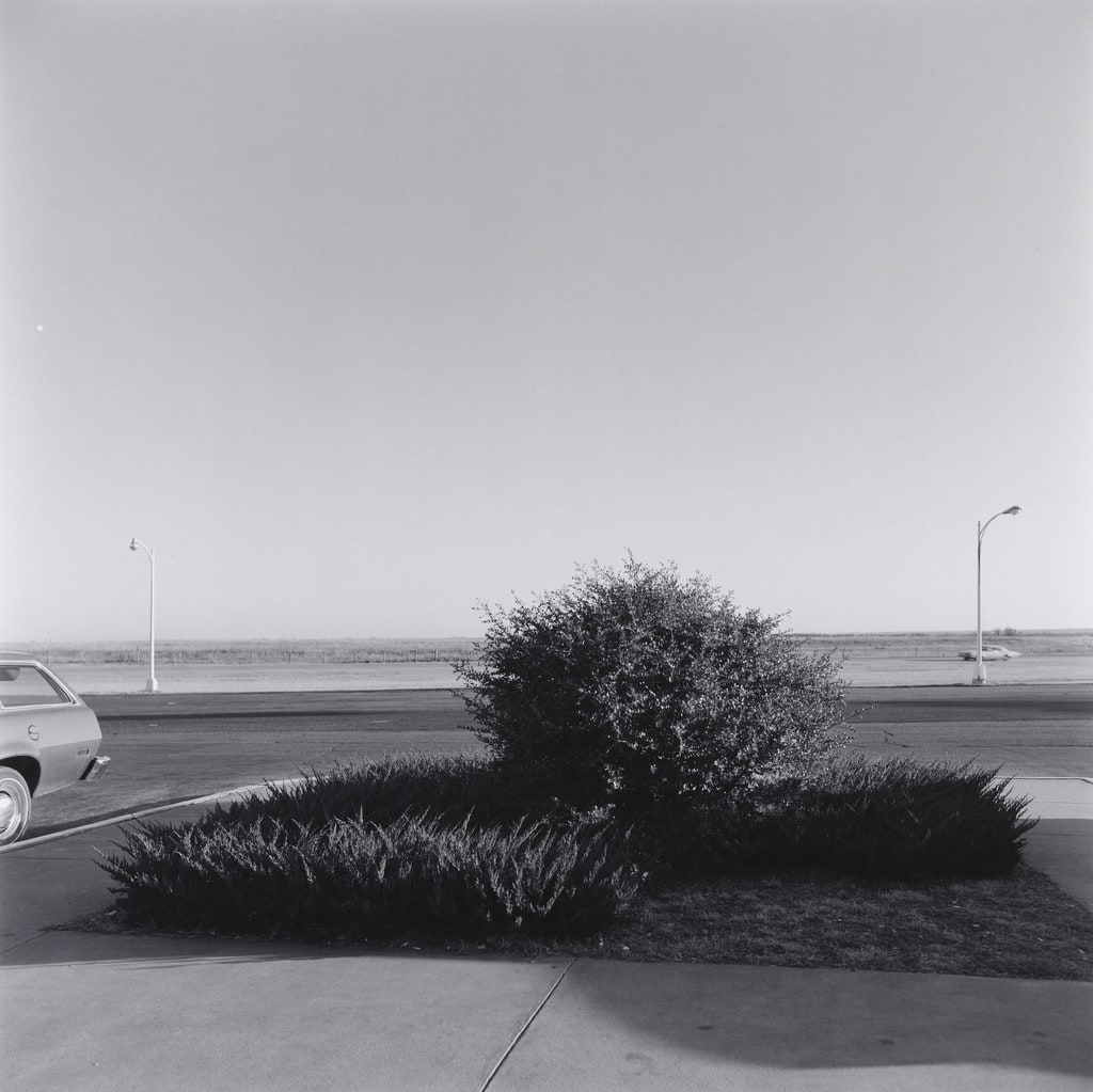 Bush and Landscape, near Chickasha, Oklahoma