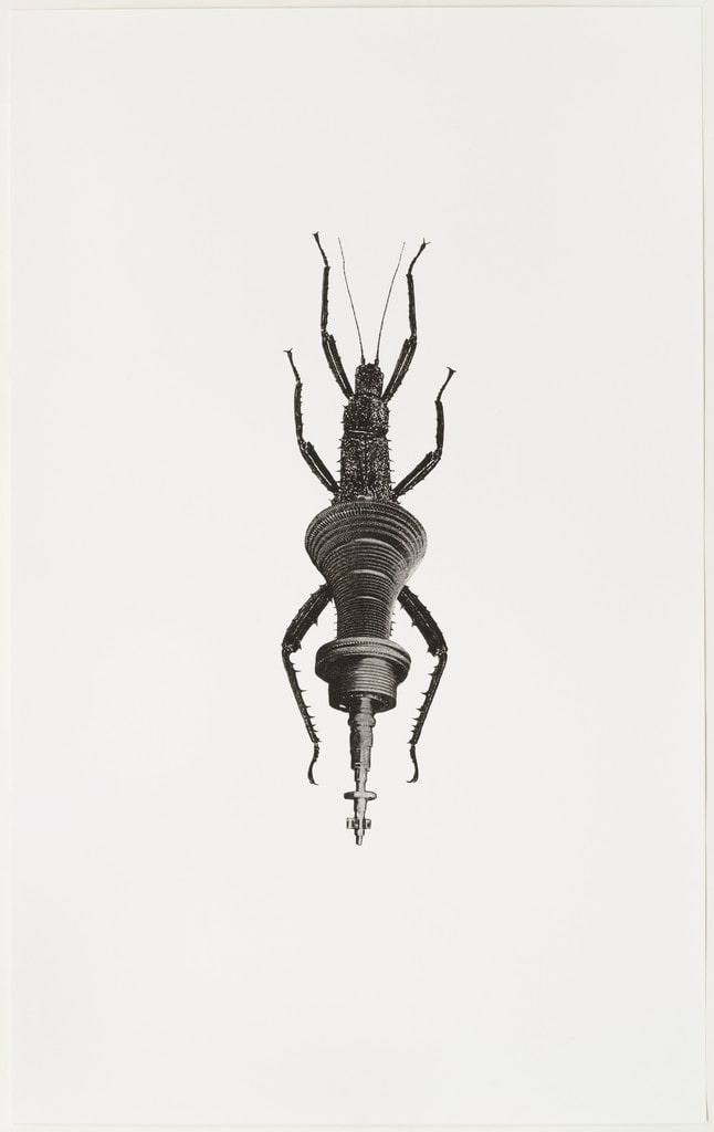 Machine Insect