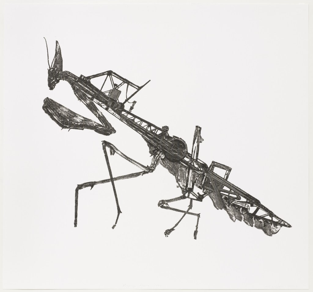 Praying Mantis Crane