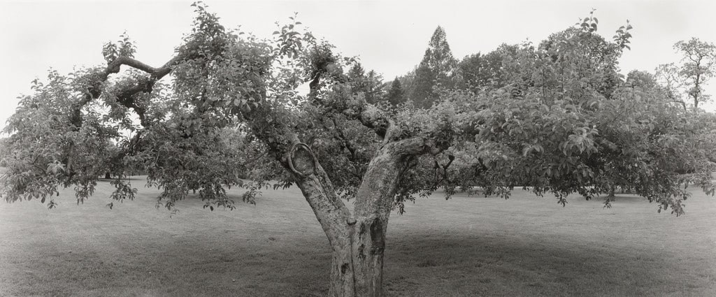 Untitled, Long Island