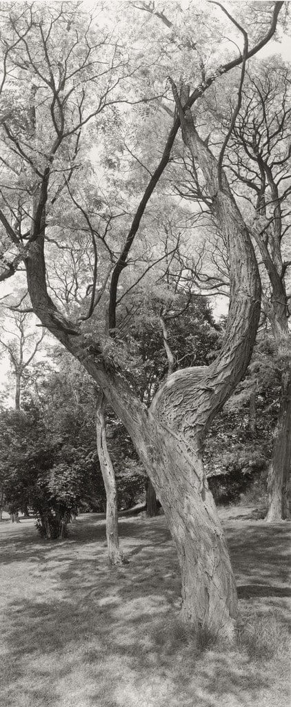 Untitled, Long Island